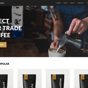 Alluring eCommerce-WordPress Theme